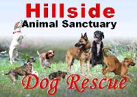 Hillside Dog Rescue