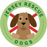 Jersey Rescue Dogs